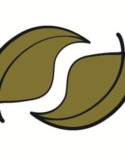 Intuitive Therapy & Consulting, LLC