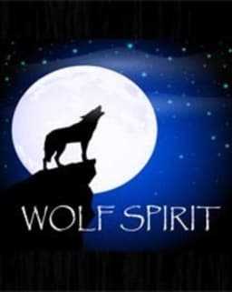 Wolf Spirit Wellness and Counseling Center, LLC