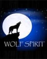 Wolf Spirit Wellness and Counseling Center, LLC