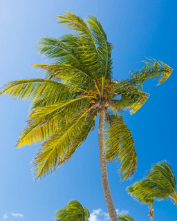 Advantage Psychological Center Inc.