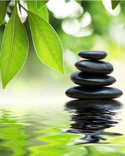 The Chicago Integrative Center for Psychology