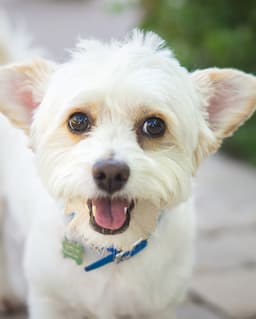 Phoenix Wellness Center