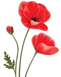 High Plains Psychological Assessment Center