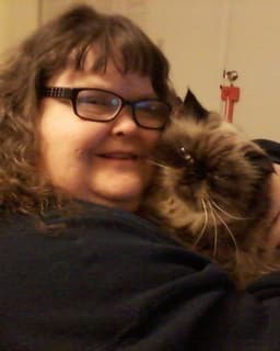 A Brand New Start Counseling