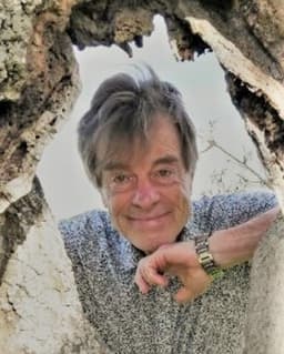 Leland van den Daele