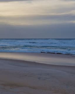 Maryland Consulting and Psychotherapy Services