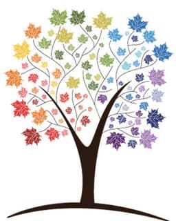 The Maple Counseling Center