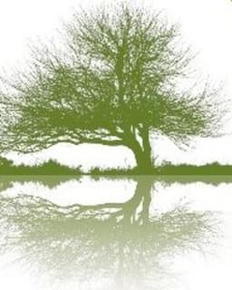 Ehrhardt Therapy and Associates