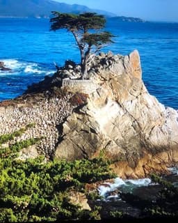 Creative Family Therapy Inc, BrainSpot Certified