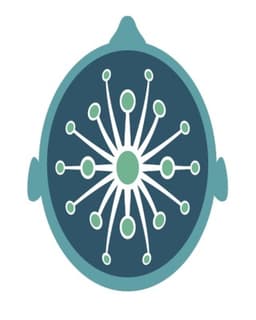 Boston NeuroDynamics