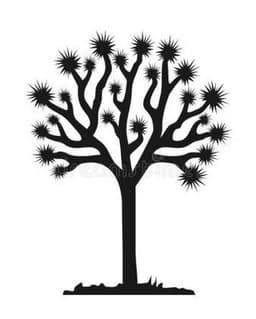 Joshua Tree Counseling Center