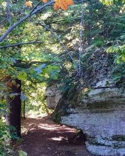 Grand Ledge Counseling Center