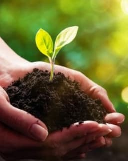 Center for Healing Connections