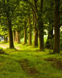 Endeavor Psychological Services, LLC