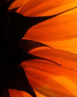 Changes Through You, LLC