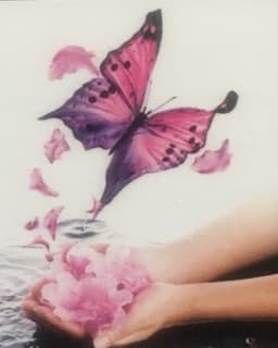 Evolve Counseling & Wellness LLC.