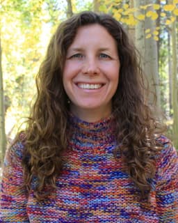 Lynn Meyer Counseling LLC