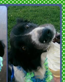 Coleen Lynn- Simpson