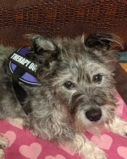 Amanda Perkins Therapy LLC