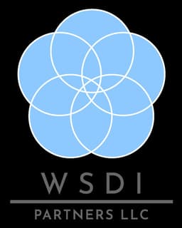 WSDI Partners, LLC