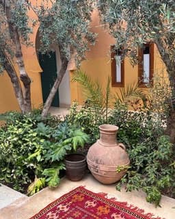 Sankofa Holistic Counseling Services