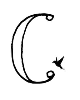 Connected-Seen & Heard