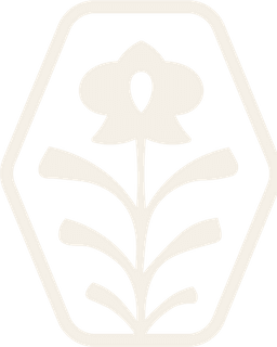 Vanda Counseling Collaborative