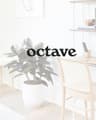 Octave - Los Angeles Clinic