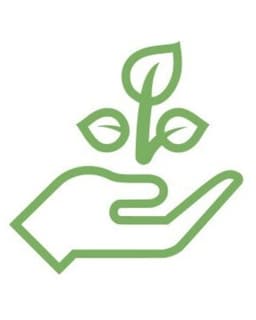 The Collective Healing Center