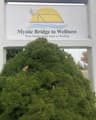 Mystic Bridge to Wellness