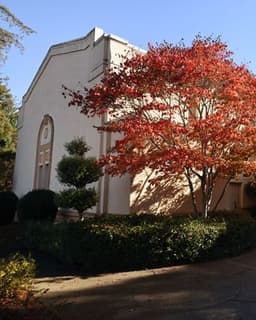 Lomi Psychotherapy Clinic