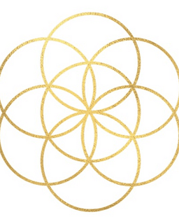 Dynamic Wellness Collaborative