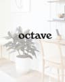 Octave - Financial District SF Clinic