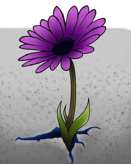 Ronan Psychological Associates