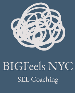 BIGFeels Child Social & Emotional Skill Coaching