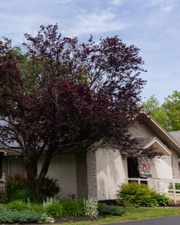 Harmonia Collaborative Care