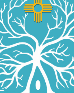 New Mexico Psych Med Services, LLC