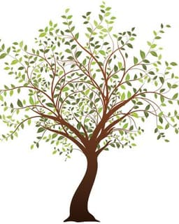 Know Thyself Healing & Therapy