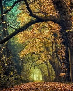 Kathleen Brown McNally