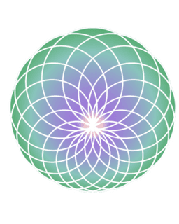 The Evolution Group, Inc - Anxiety