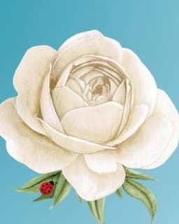 Magnolia Counseling LLC