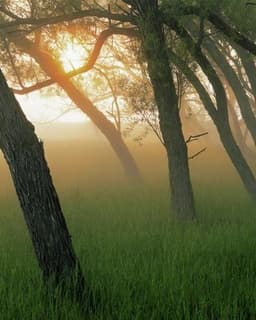 Katherine Daskalakis