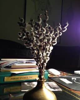 Bright Path Counseling Center