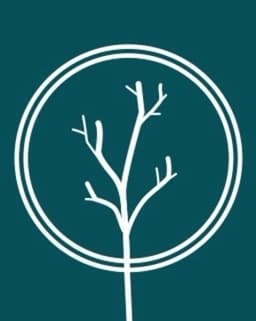 Wild Tree Psychotherapy