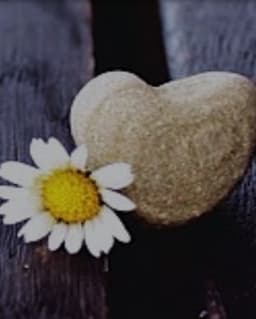 Couples Workshops: Hold Me Tight