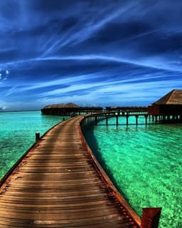 The Recovery Program