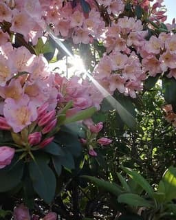 Infinite Hope Counseling Services; Sheila DuBois