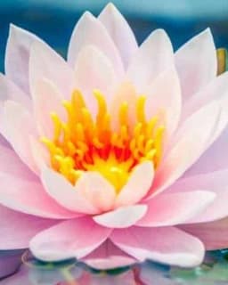 Guided Counseling Services LCSW Pllc.inc