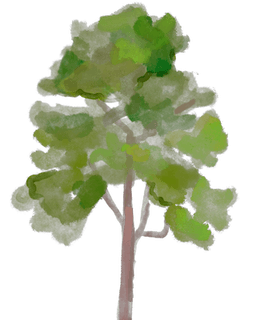 CPH Mental Health Counseling