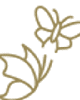 Social Butterflies Psychotherapy